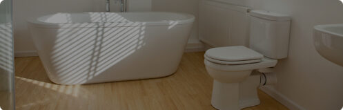 Bathtub and toilet in a Tampa, FL bathroom