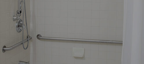 Shower with a shower rod handle